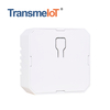 TransmeiIoT Smart Switch Module TM-WF-TP02S Wifi Switch Wireless Remote Control Electrical for Household Appliances,Compatible with Alexa DIY Your Home Via Iphone Android App
