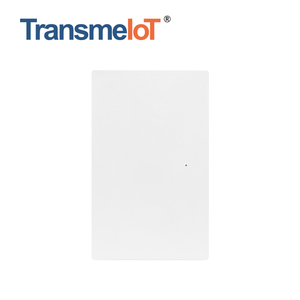Smart US Type Wall Switch 1 Gang Plastic Button Panel TM-WF-US05P