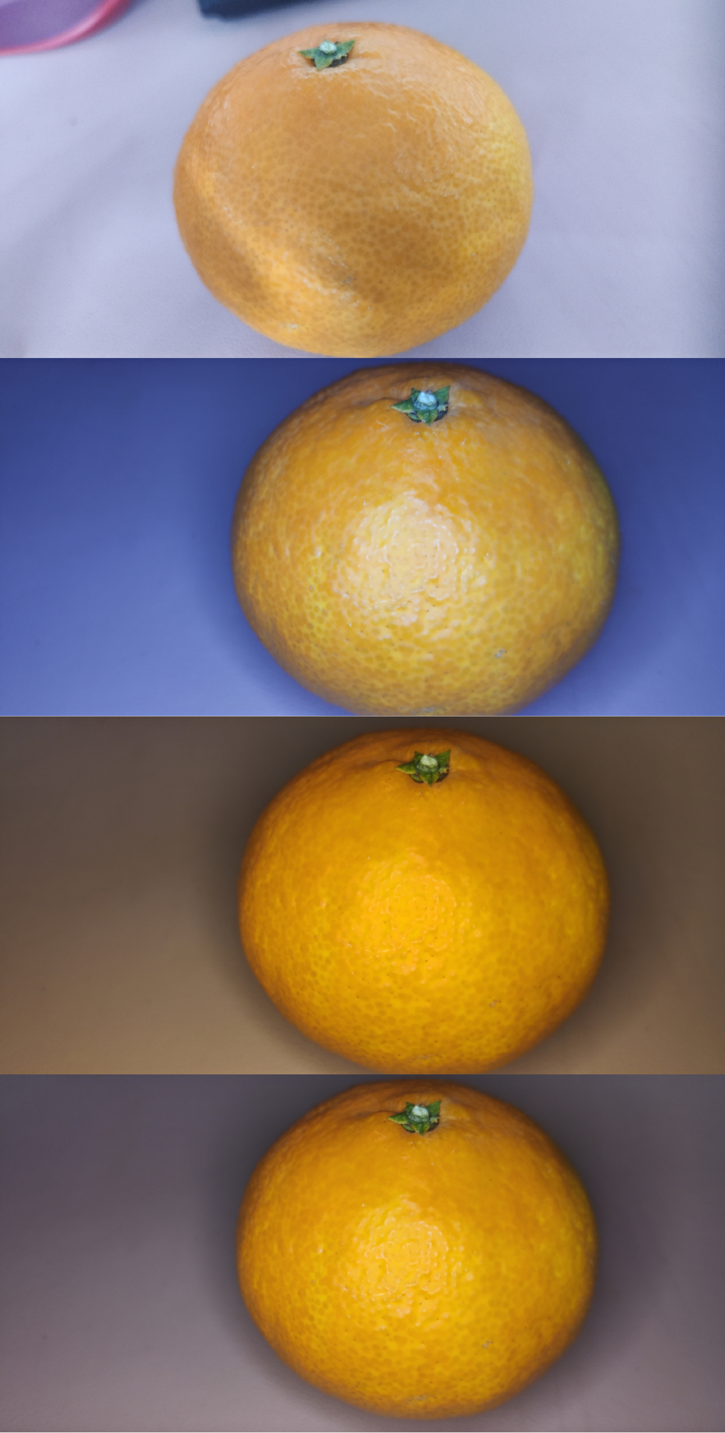 微信图片_20201113145549