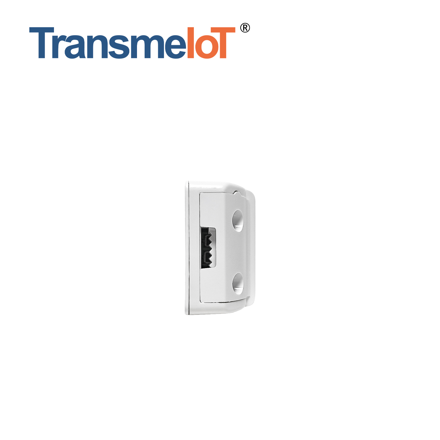 Smart Module in Wall Switch TM-TP15S 16A